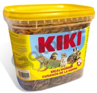 kiki_liszt.jpg