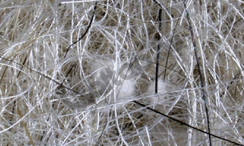 CYPA23.500_.jpg