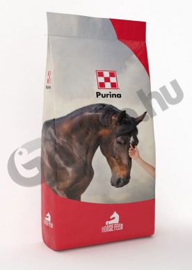 horse.jpg