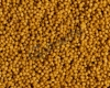 WetDry_800g.jpg