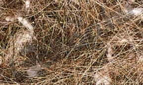 Állatszőr 500g