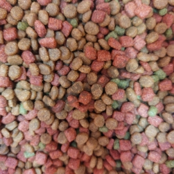 Gran forma marhahússal 1kg