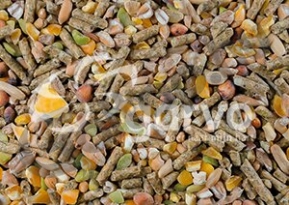 Alfamix növendék 20 kg