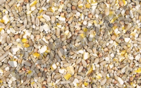 Fogoly keverék 10 kg